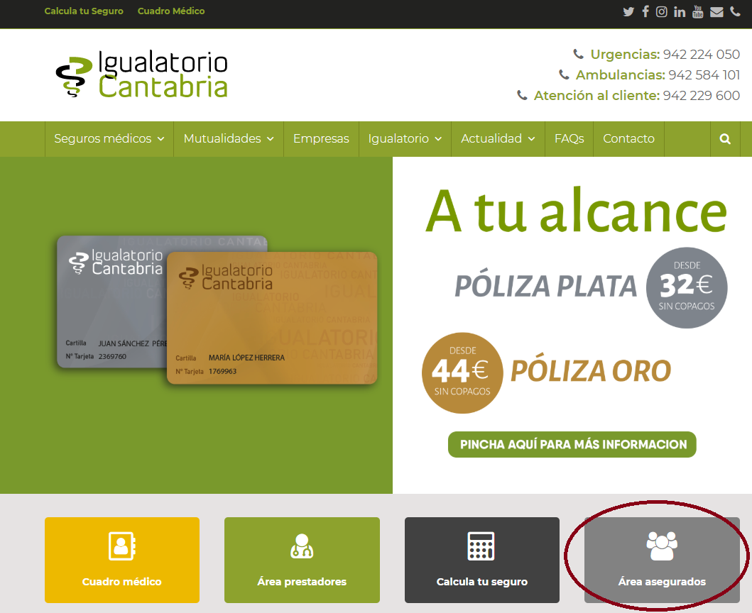 Área Del Asegurado: Servicio Gratuito Y Seguro